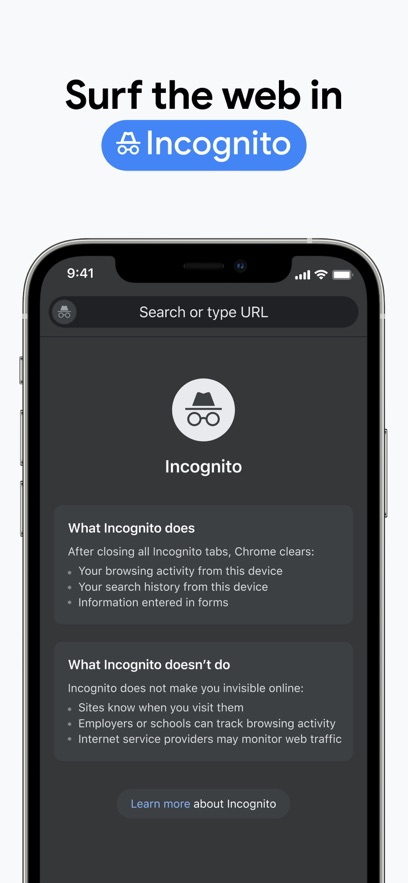谷歌chrome瀏覽器蘋果版 v119.0.6045.109 官方版 4
