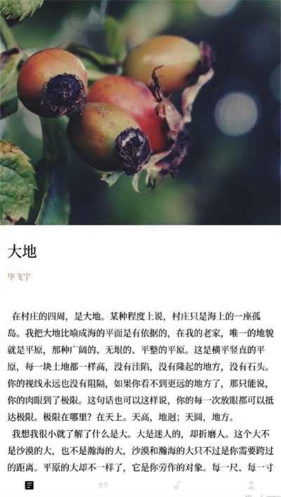 漫讀 v1.0 安卓版 2