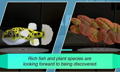 水族設(shè)計師 v1.0.0 安卓版 2