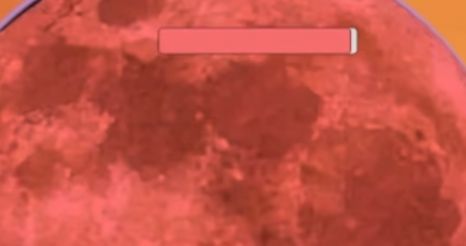 m木糖m火影忍者 v1.0 安卓版 0