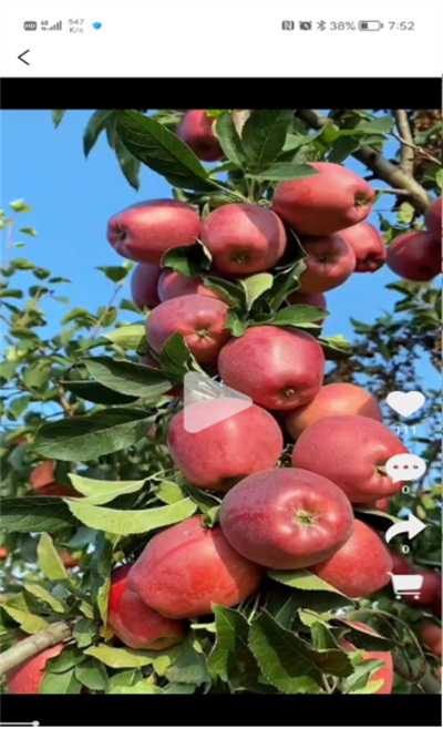 善農優(yōu)選 v1.1.2 安卓版 1