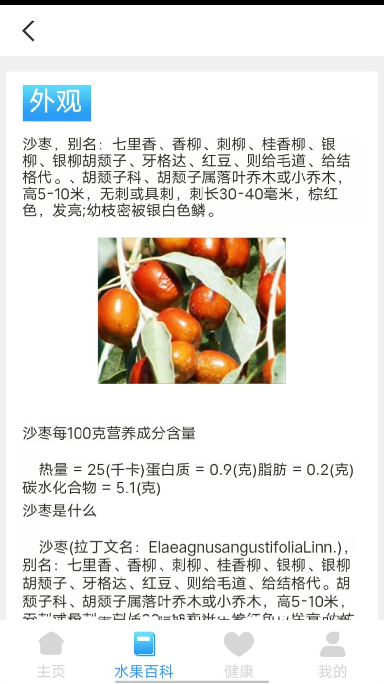 口袋水果 v0.5 安卓版 1