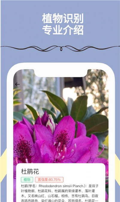 滿分掃描王 v1.0.0 安卓版 3