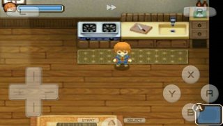 牧場(chǎng)物語(yǔ)雙子村 v3.0 漢化版 2