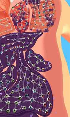 人體細胞連接 v1.0.6 安卓版 3