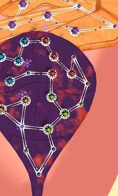 人體細胞連接 v1.0.6 安卓版 0