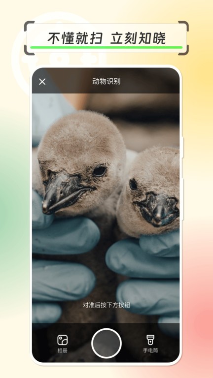 拍物輕松識 v1.0.0安卓版 0