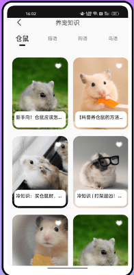 倉(cāng)鼠翻譯器 v1.0.0 0