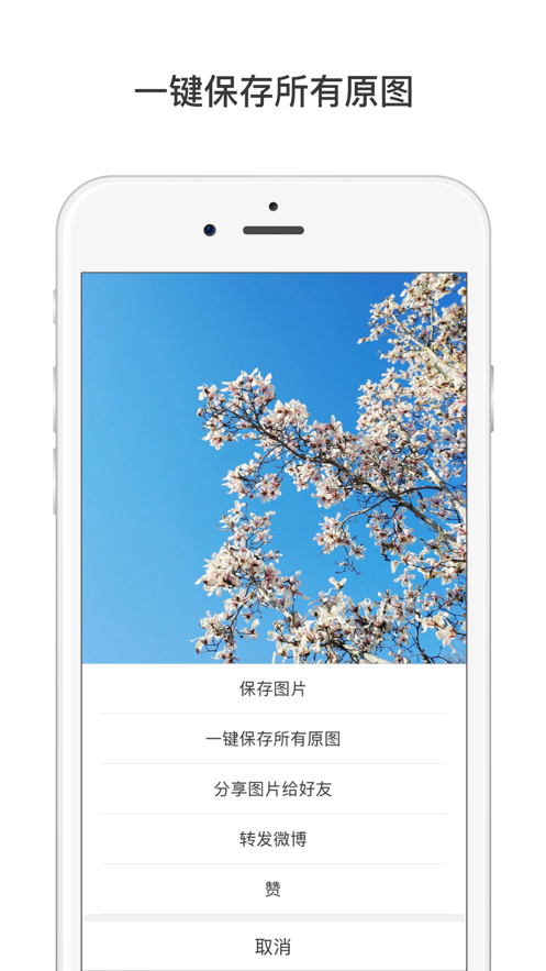 微博國(guó)際版iPhone客戶(hù)端 v6.6.1 蘋(píng)果手機(jī)版 4