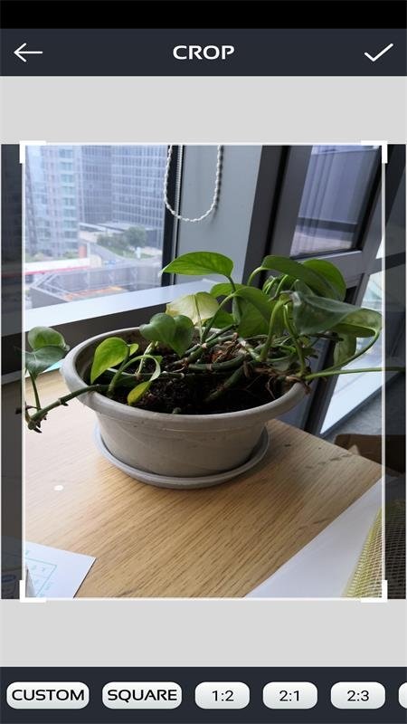 激發(fā)你的靈感 v1.0 1