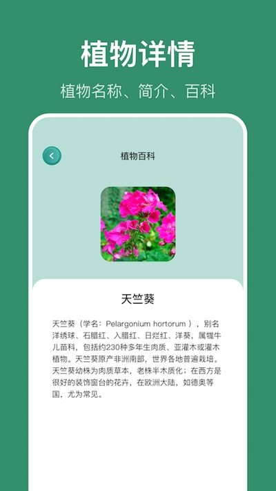 小黃養(yǎng)花 v1.1安卓版 0