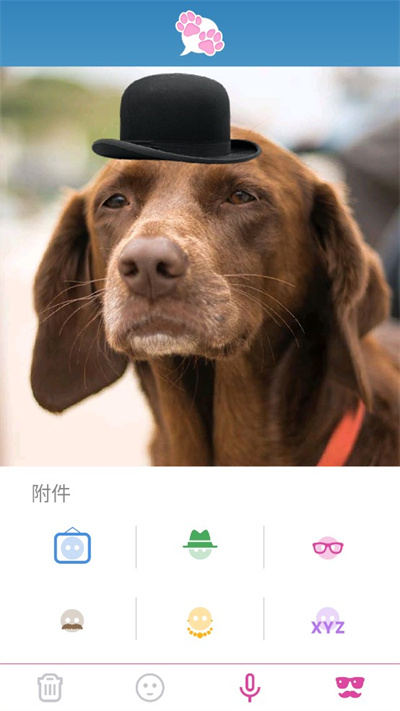 我的寵物會(huì)說話 v8.3.13 最新版 1