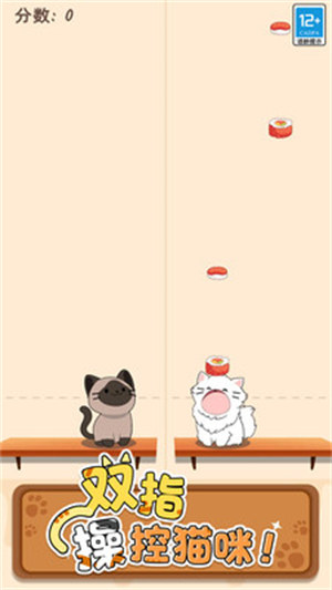 貓咪二重奏 v1.0.2 0