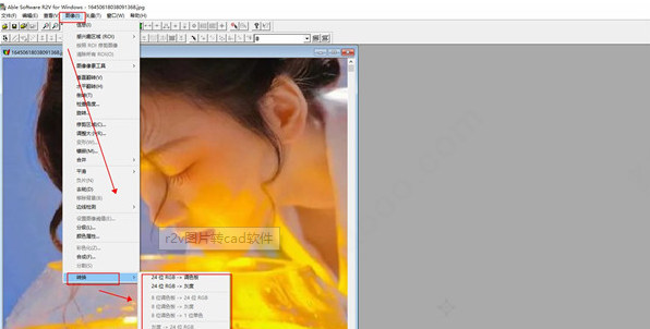r2v圖片轉(zhuǎn)為cad v5.5 1