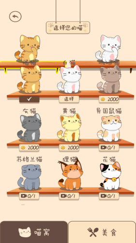 夏天的樂(lè)隊(duì) v1.0.1 2