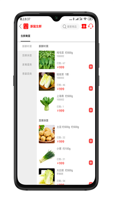 豚鼠公社 v1.0.3 1