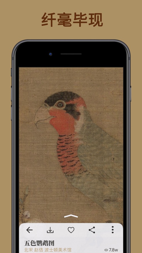 中華珍寶館蘋果版 v8.1.8 iphone版 6