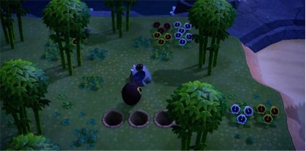 動(dòng)物之森口袋露營(yíng)國服版 v5.3.2 安卓中文版 0