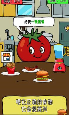 檸檬番茄 v1.0.1 安卓版 0