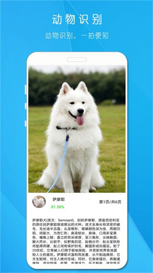 拍照識萬物 v1.817 2