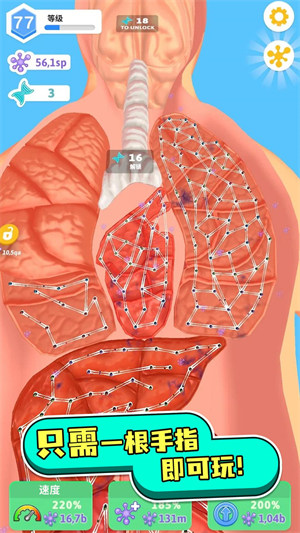 人體測試 v1.0.0 安卓版 0