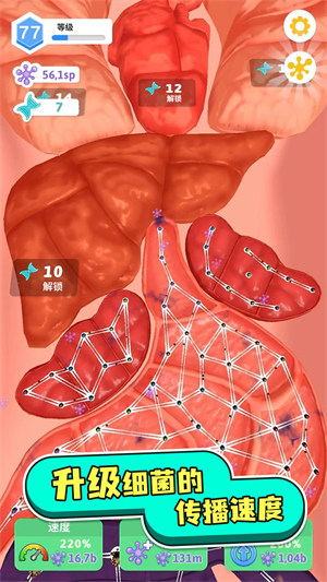 人體測試 v1.0.0 安卓版 2