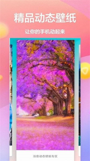 動(dòng)態(tài)壁紙4k免費(fèi) v1.0.1 3