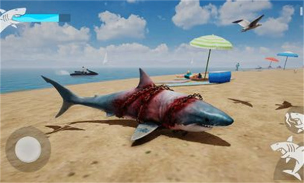 鯊魚之怒 v1 安卓版 4