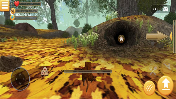 夢幻冒險動物之旅 v1.0 安卓版 1