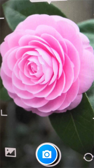 智能花卉識別 v1.0.0 3