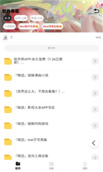 傾城軟件庫正版 v1.0 手機版 1