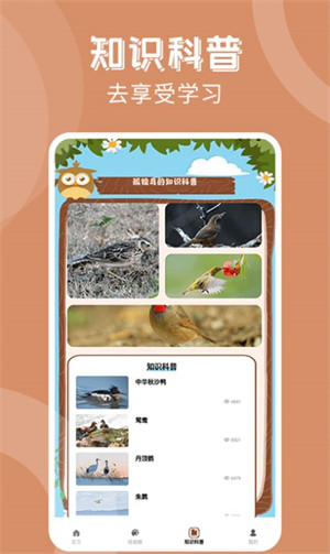 孤獨(dú)的鳥治愈你 v1.3 安卓版 3