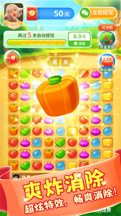 團(tuán)團(tuán)消消樂 v1.0 安卓版 0