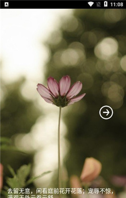 薔薇書院 v1.3.0 安卓版 1