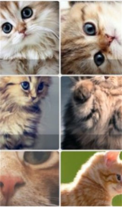 Pop貓壁紙 v1.1 最新版 0