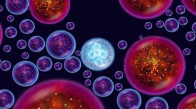 吞噬進(jìn)化生存 v1.0.0 安卓版 3