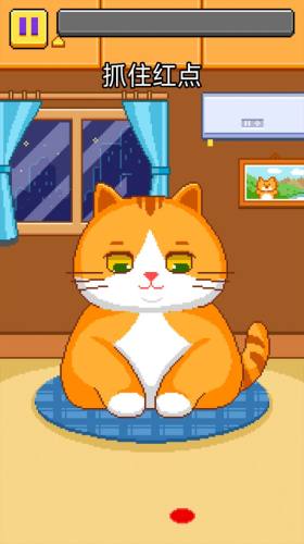 貓貓來了 v1.0 安卓版 1