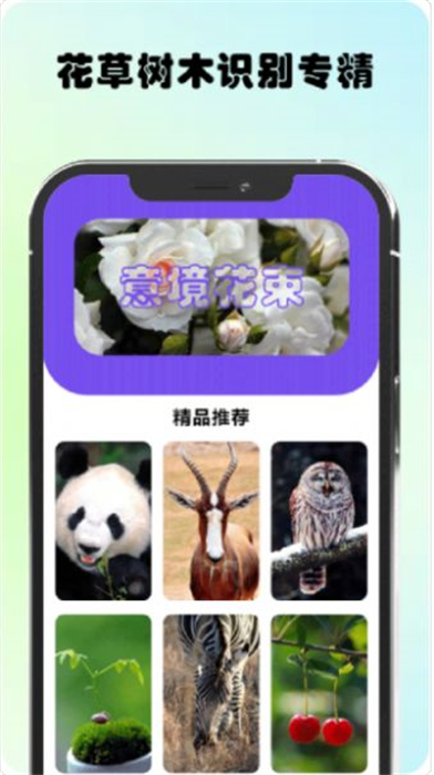 萬物識圖高手 v1.1 安卓版 3