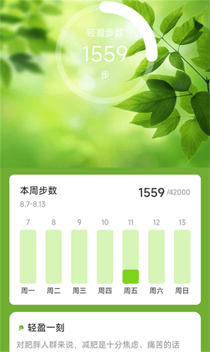 輕盈計步 v2.0.1 手機版 0