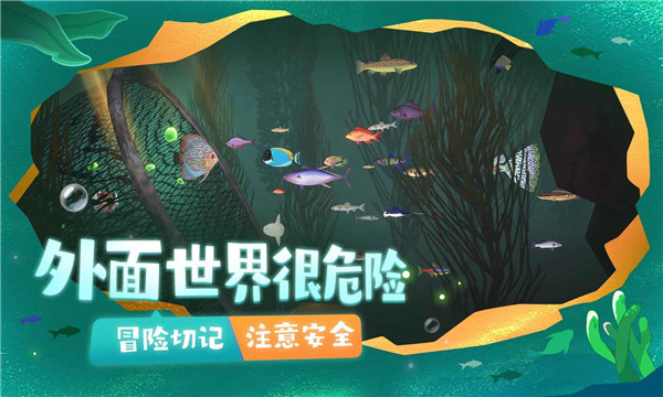 一只魚(yú) v6.3 安卓版 1