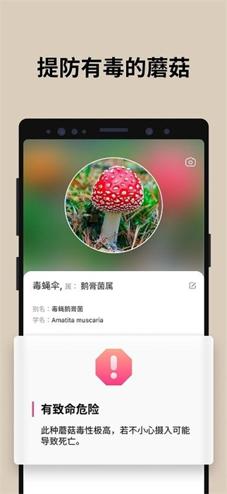 蘑菇識(shí)別 v2.9.20 安卓版 2