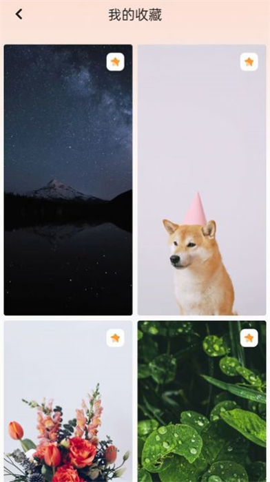 天天換壁紙 v2.3.2 最新版 2
