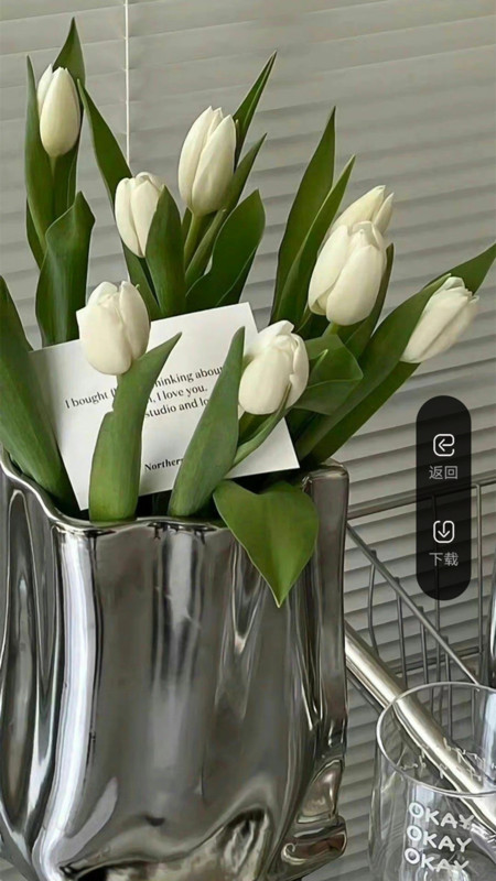 團啊取圖 v1.0.0 最新版 2