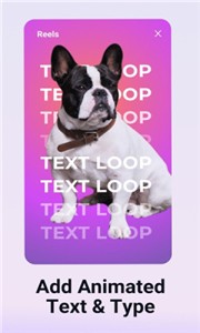 Pinreel v2.16 安卓版 0