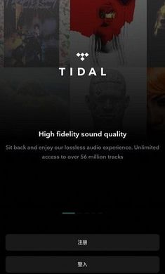 TIDAL音樂重復 v2.118.0 最新版 0