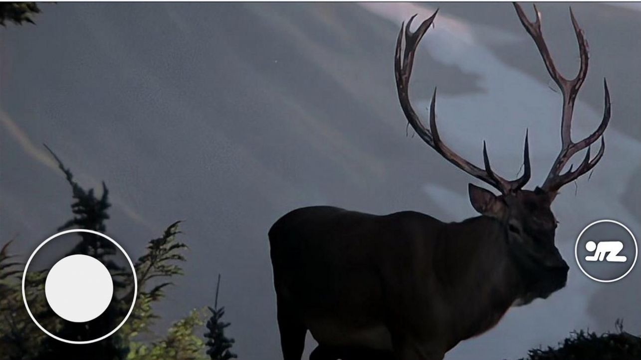 恐怖森林獵人 v1.0 安卓版 2