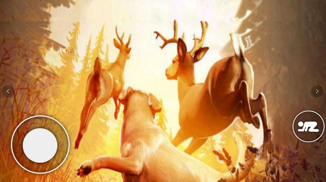 恐怖森林獵人 v1.0 安卓版 0