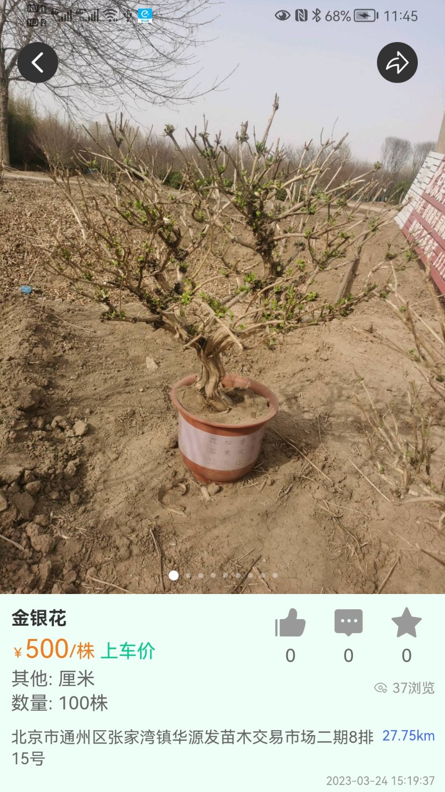 苗木人 v6.3.4 最新版 3