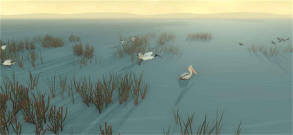 男孩與鵜鶘漢化版 v1.0.2 2