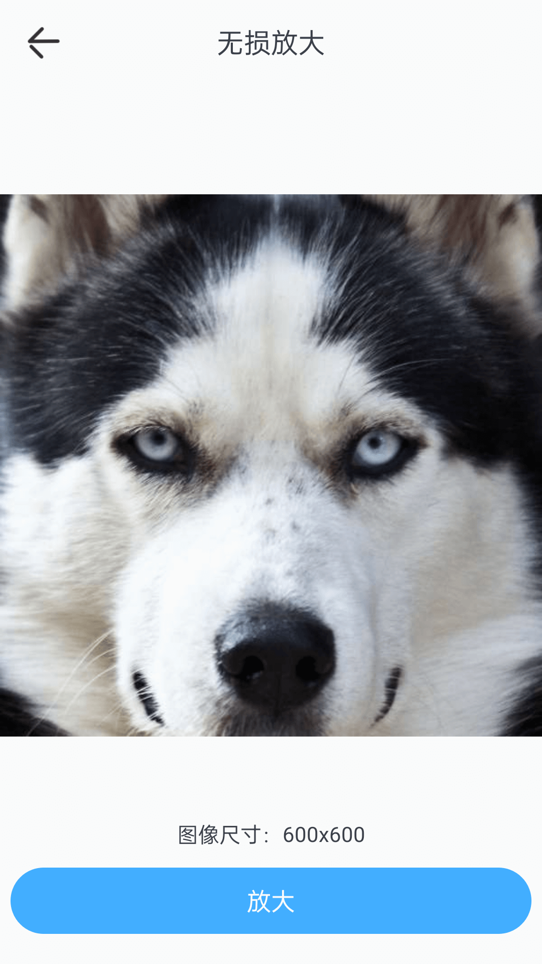 特效魔幻相機(jī) v1.1.9 安卓版 3